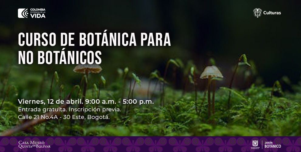 curso botánico.jpg